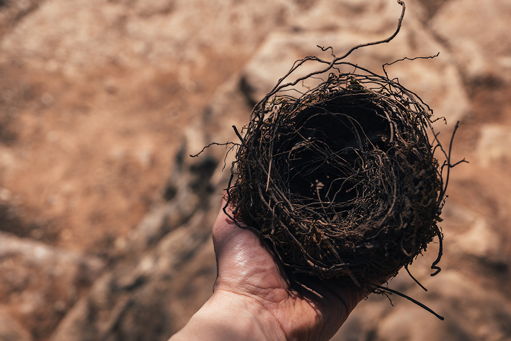 The Empty Nest Syndrome as a Rite of Passage